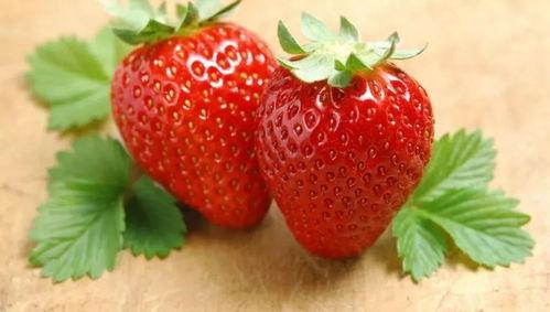 草莓视频最污,揭秘最污瞬间，带你领略网络奇观