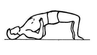 五点支撑法视频,高效提升身体稳定性的实用技巧解析