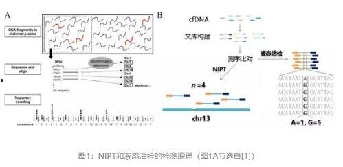 二代测序视频,基因探索的革新之路