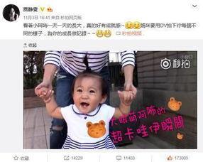 咘咘广告视频,萌宠魅力,生活新体验