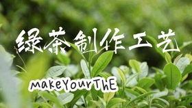 绿茶加工视频,从鲜叶到香茗的蜕变之旅